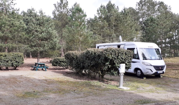Aire Montfort-le-Gesnois, Les Sittelles