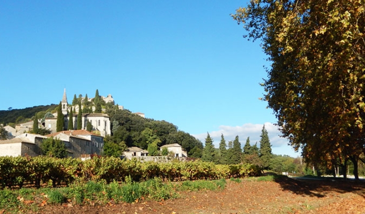 Aire de camping-car Park Roque sur Cèze