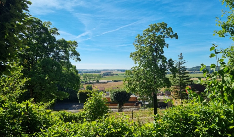 Vidange - Photo 2