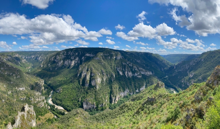 Aire Massegros, Gorges du Tarn